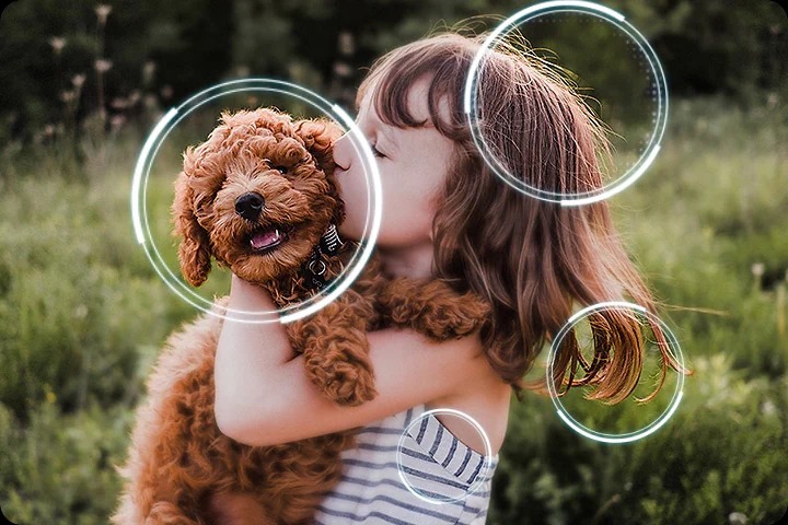  خرید تلویزیون سامسونگ 65QN85F